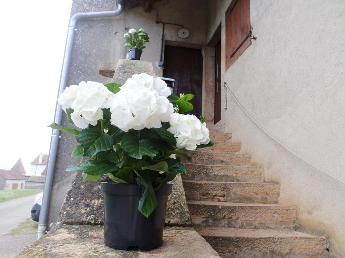 Bed and Breakfast Les Marronniers La Chapelle-sous-Brancion Екстер'єр фото